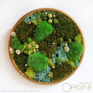 Tableaux Forêt Vue du ciel*