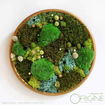 Tableaux Forêt Vue du ciel*