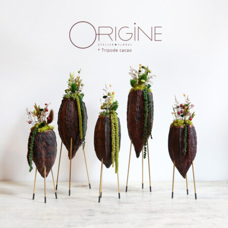 Tripode cacao