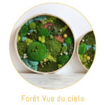 origine atelier floral boutons forêt vue du ciel