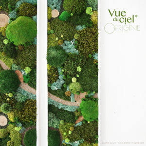 tableau-végétalisé-foret-vue-du-ciel-origine-atelier-floral-diptyque