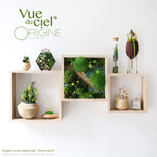 Étagère Forêt Vue du ciel • Chêne