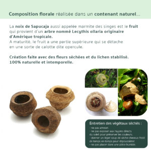 4 fiche-sapucaja-origine-atelier-floral