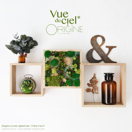 Étagère Forêt Vue du ciel • Chêne