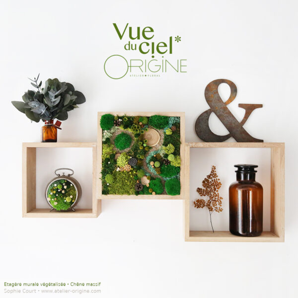 Étagère Forêt Vue du ciel • Chêne