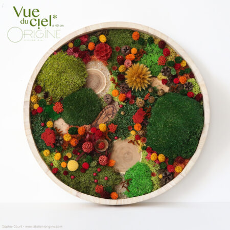 Forêt Vue du ciel • 40 cm • Automnale