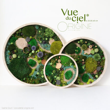 Forêt Vue du ciel • Trio 20, 30, 40 cm