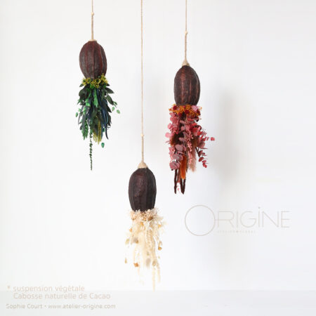Suspension végétale H +/- 35 cm • Cacao
