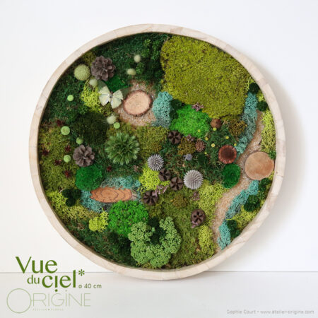 Forêt Vue du ciel • 40 cm • Papillon naturalisé