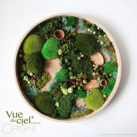 Forêt Vue du ciel • 40 cm