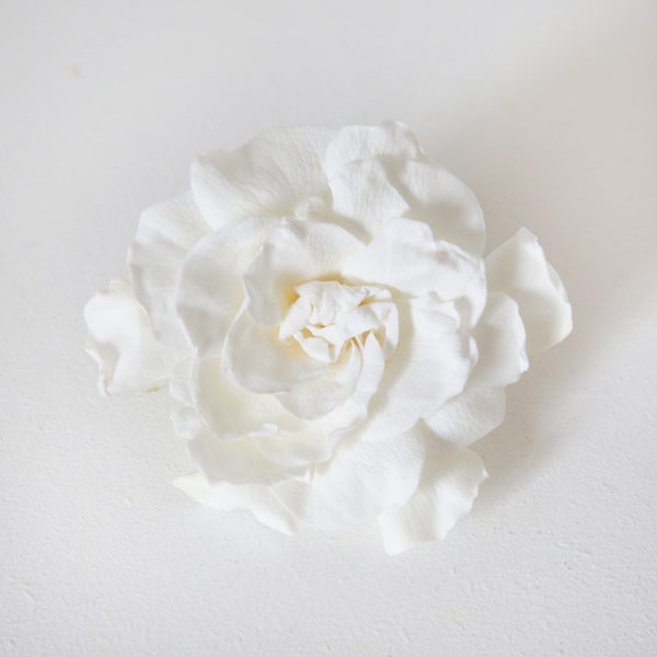 10-gardenia-stabilisé-blanc-origine-atelier-floral