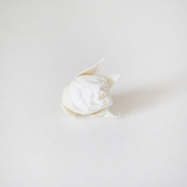 11-bouton-de-rose-blanc-stabilisé-origine-atelier-floral