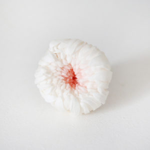 13-chrisanthème-stabilisé-japon-rose-et-blanc-origine-atelier-floral