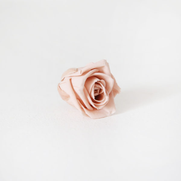 18-bouton-de-rose-stabilisée-nude-origine-atelier-floral