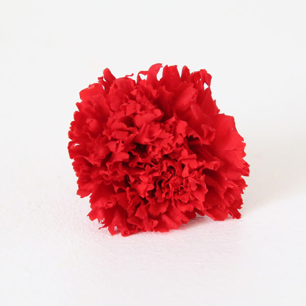 30-oeillet-stabilisé-rouge-origine-atelier-floral