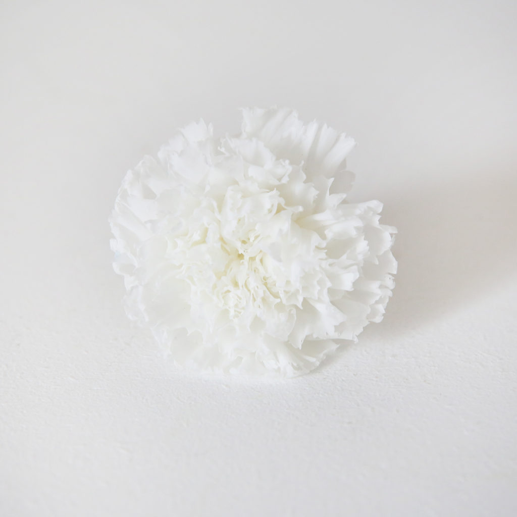 8-oeillet-stabilisé-blanc-origine-atelier-floral