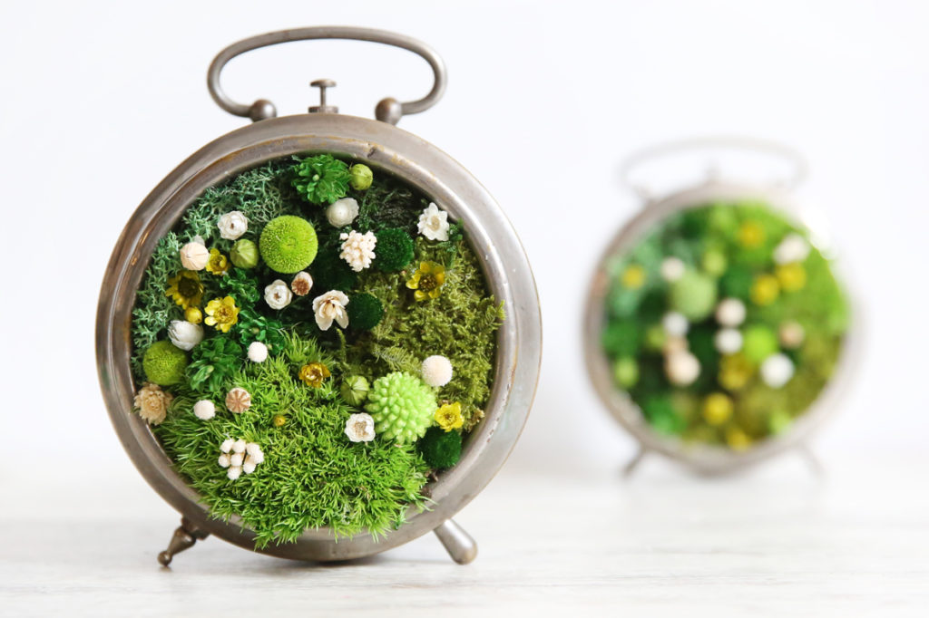 origine-atelier-floral.-atelier-reveil-vegetalise-fleurs-séchées6