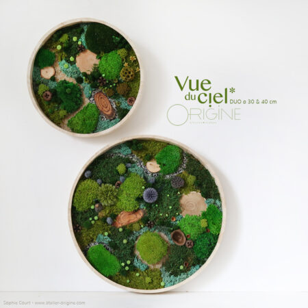 Forêt Vue du ciel • Duo 30 & 40 cm
