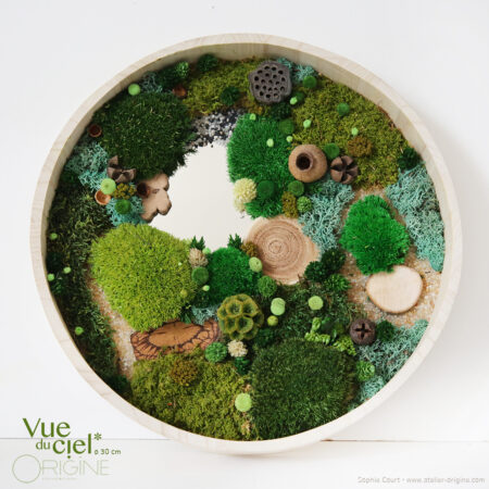 Forêt Vue du ciel • Miroir • 30 cm