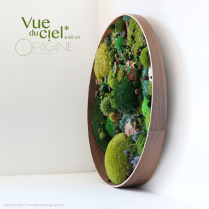 tableau-végétal-foret-vue-du-ciel-mousse-stabilisée-fleurs-séchées-origine-atelier-floral2