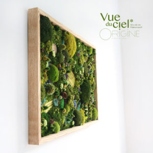 tableau-végétal-foret-vue-du-ciel-origine-atelier-floral-végétaux-stabilisés-et-séchés