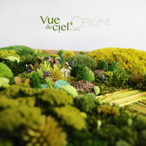 tableau-végétal-foret-vue-du-ciel-origine-atelier-floral-végétaux-stabilisés-et-séchés