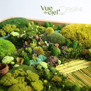 tableau-végétal-foret-vue-du-ciel-origine-atelier-floral-végétaux-stabilisés-et-séchés