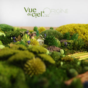 tableau-végétal-foret-vue-du-ciel-origine-atelier-floral-végétaux-stabilisés-et-séchés