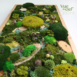 tableau-végétal-stabilisé-biophilic-design-foret-vue-du-ciel-origine-atelier-floral-sophie-court6