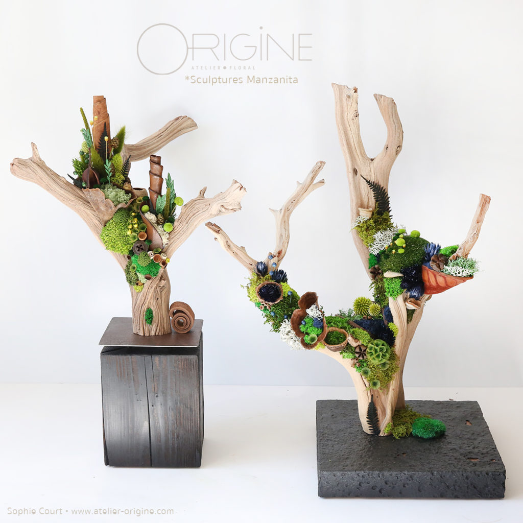 sculpture-végétale-bois-de-manzanita-origine-atelier-floral-fleurs-séchées-vegetaux-stabilisés