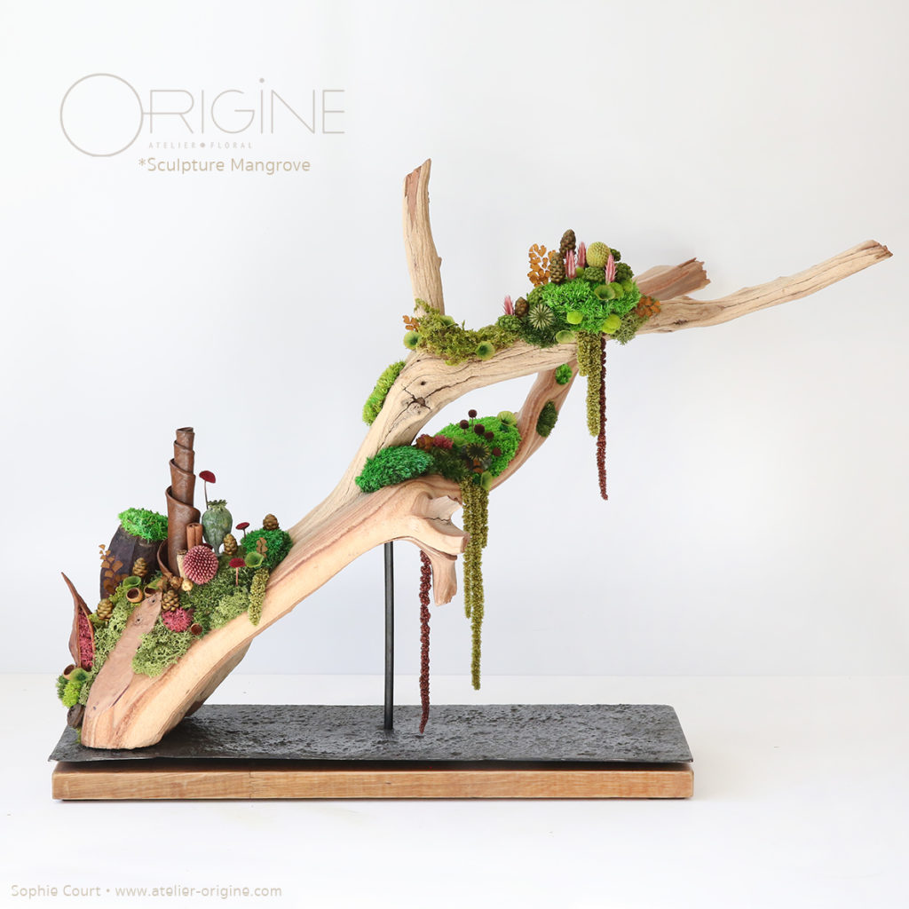 sculpture-végétale-bois-de-manzanita-origine-atelier-floral-fleurs-séchées-vegetaux-stabilisés