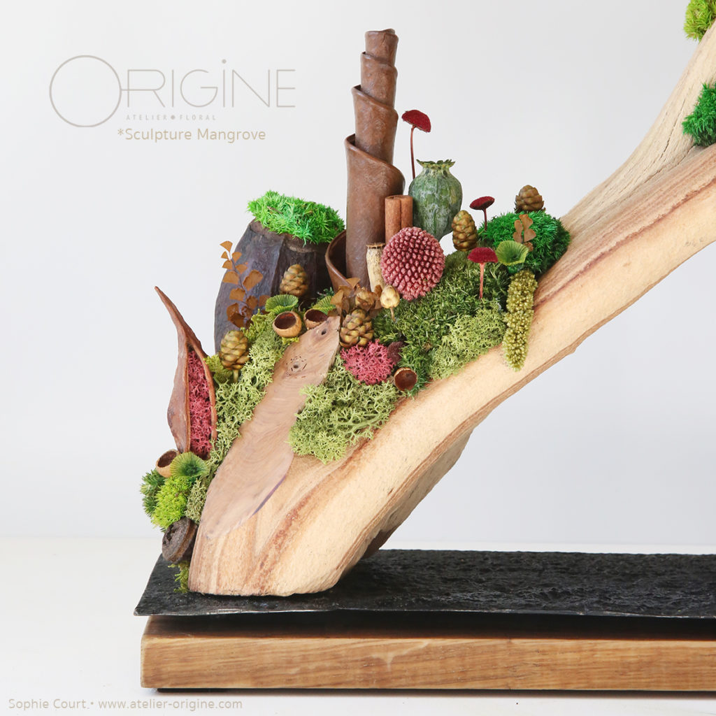 sculpture-végétale-bois-de-manzanita-origine-atelier-floral-fleurs-séchées-vegetaux-stabilisés