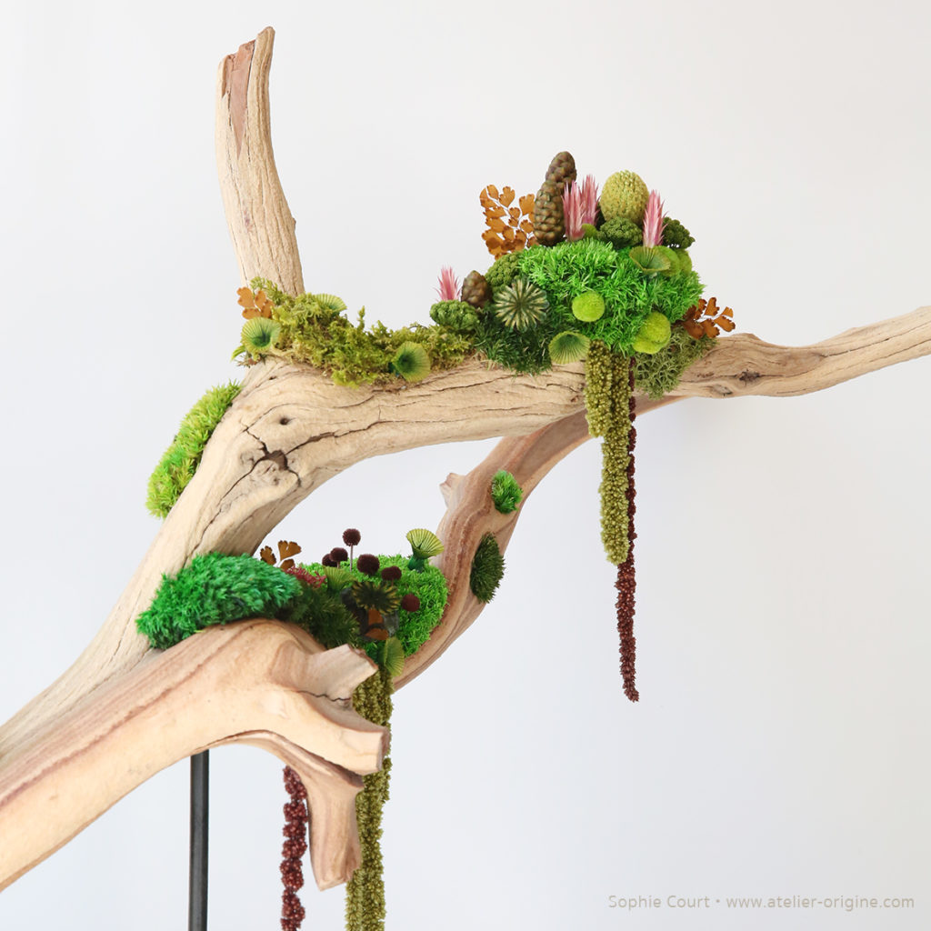 sculpture-végétale-bois-de-manzanita-origine-atelier-floral-fleurs-séchées-vegetaux-stabilisés