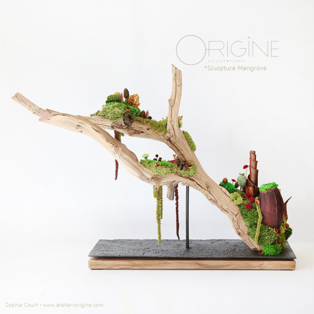 sculpture-végétale-bois-de-manzanita-origine-atelier-floral-fleurs-séchées-vegetaux-stabilisés