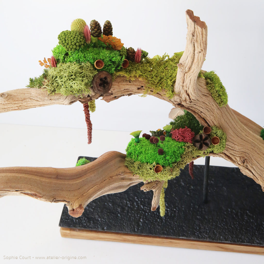 sculpture-végétale-bois-de-manzanita-origine-atelier-floral-fleurs-séchées-vegetaux-stabilisés