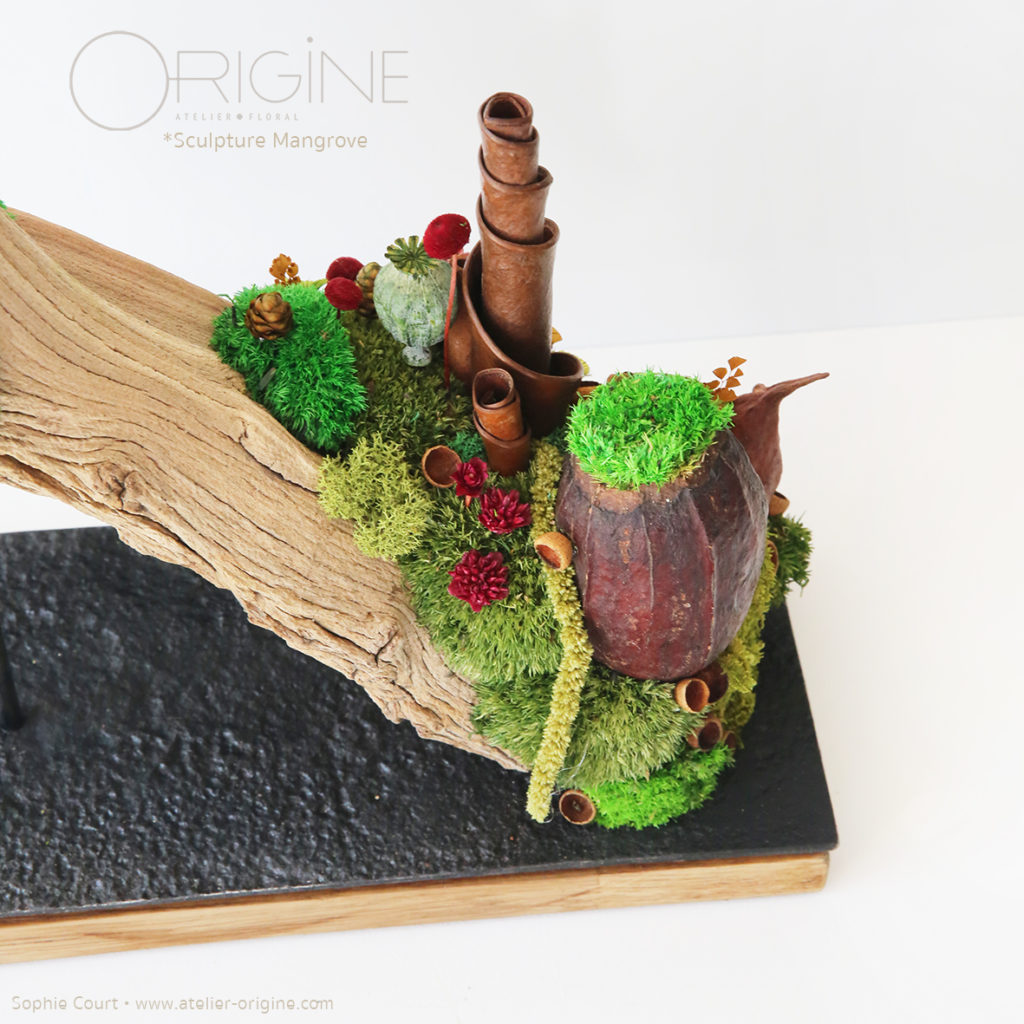 sculpture-végétale-bois-de-manzanita-origine-atelier-floral-fleurs-séchées-vegetaux-stabilisés