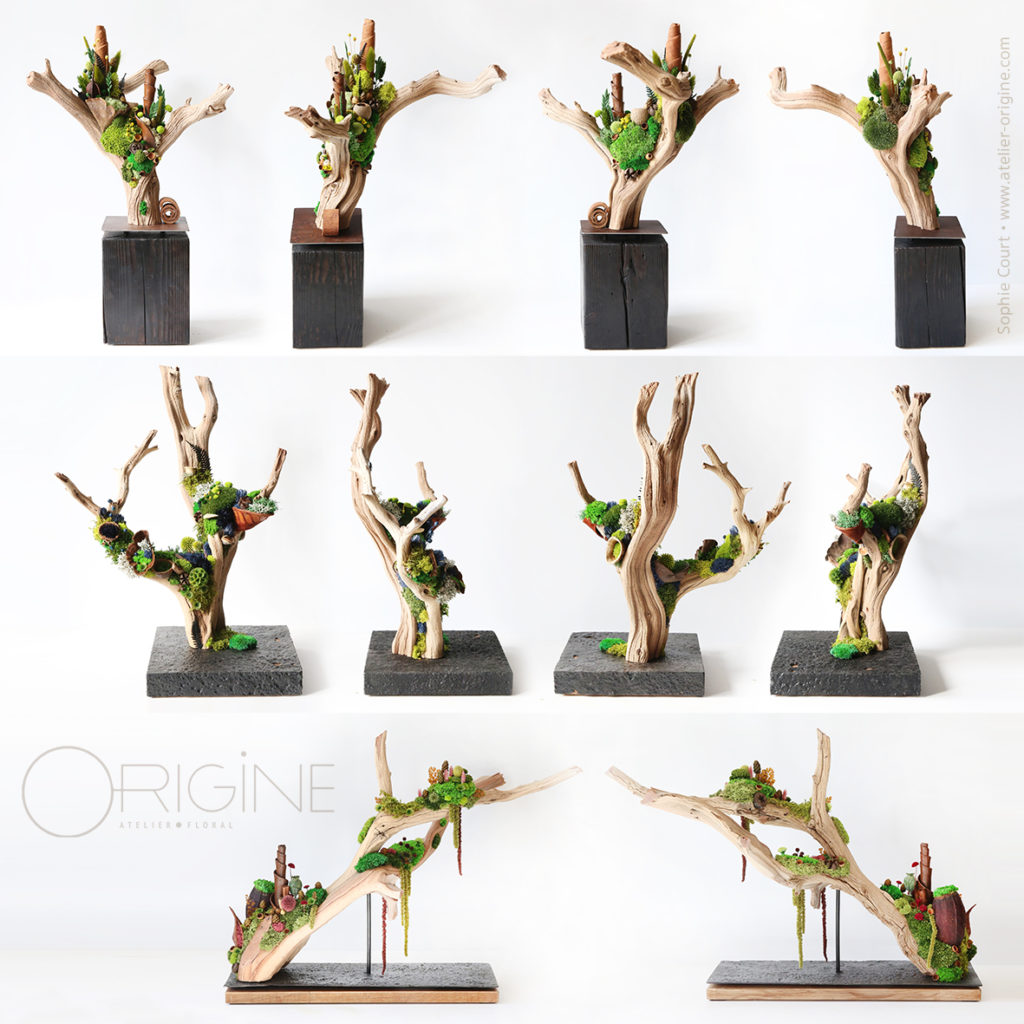 sculpture-végétale-bois-de-manzanita-origine-atelier-floral-fleurs-séchées-vegetaux-stabilisés