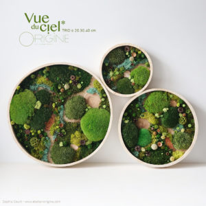 tableau-végétal-vegetaux-stabilisés-foret-vue-du-ciel-DUO-30-40-cm-Origine-atelier-floral