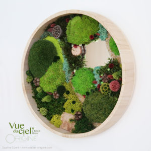 tableau-végétal-foret-vue-du-ciel-30-cm-miroir-vegetaux-stabilisés-origine-atelier-floral