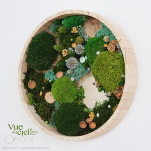 tableau-végétal-foret-vue-du-ciel-30-cm-miroir-vegetaux-stabilisés-origine-atelier-floral