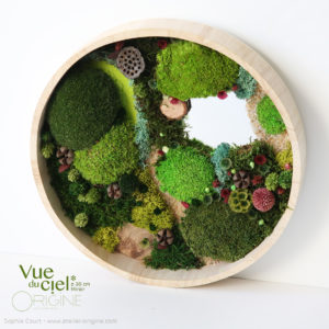 tableau-végétal-foret-vue-du-ciel-30-cm-miroir-vegetaux-stabilisés-origine-atelier-floral