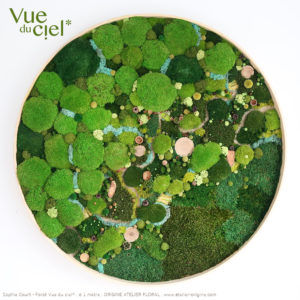 tableau-végétal-stabilisé-foret-vue-du-ciel-mini-monde-1-metre-origine-atelier-floral