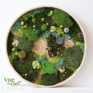 tableau-végétal-vegetaux-stabilisés-foret-vue-du-ciel-DUO-30-40-cm-Origine-atelier-floral