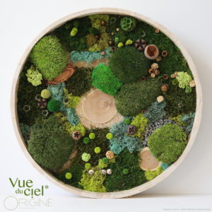 tableau-végétal-vegetaux-stabilisés-foret-vue-du-ciel-DUO-30-40-cm-Origine-atelier-floral