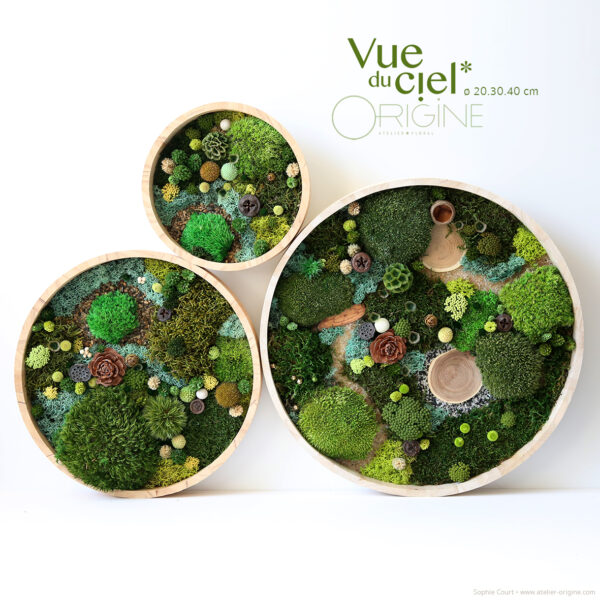 tableau-végétal-vegetaux-stabilisés-foret-vue-du-ciel-DUO-30-40-cm-Origine-atelier-floral