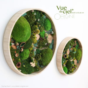 tableau-végétal-vegetaux-stabilisés-foret-vue-du-ciel-DUO-30-40-cm-Origine-atelier-floral