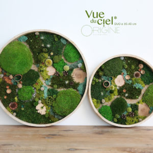 tableau-végétal-vegetaux-stabilisés-foret-vue-du-ciel-DUO-30-40-cm-Origine-atelier-floral