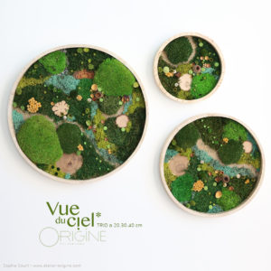 tableau-végétal-vegetaux-stabilisés-foret-vue-du-ciel-DUO-30-40-cm-Origine-atelier-floral