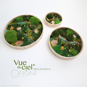 tableau-végétal-vegetaux-stabilisés-foret-vue-du-ciel-DUO-30-40-cm-Origine-atelier-floral