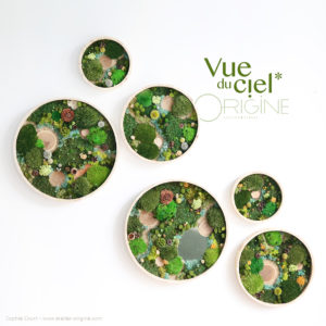 tableau-végétal-vegetaux-stabilisés-foret-vue-du-ciel-trio-Origine-atelier-floral